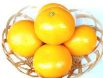 Hassaku - Nikkei Shoji Co., Ltd.